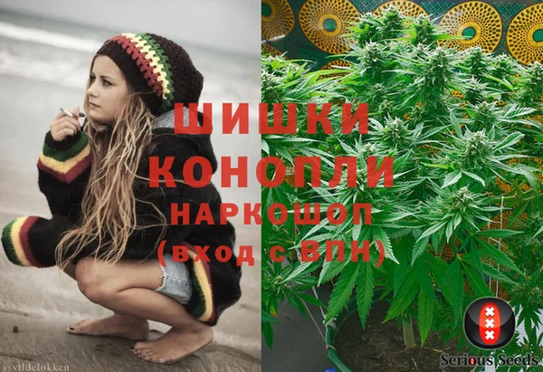 молекула духа Балахна