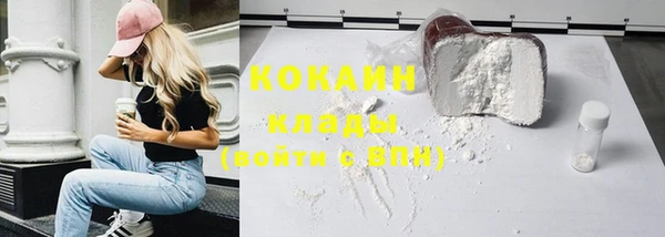 крисы Аркадак