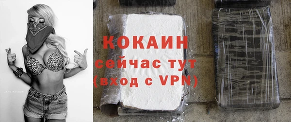 крисы Аркадак