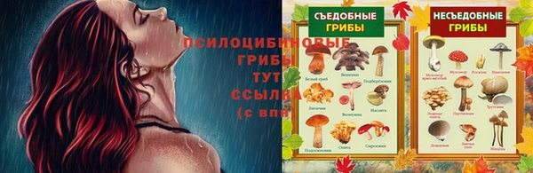 мяу мяу мука Баксан