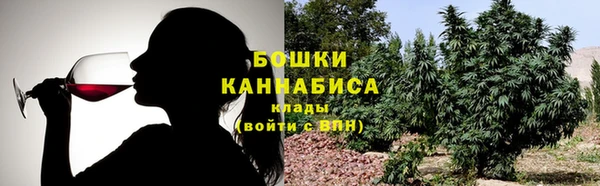 крисы Аркадак